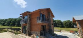 Villa near didveli